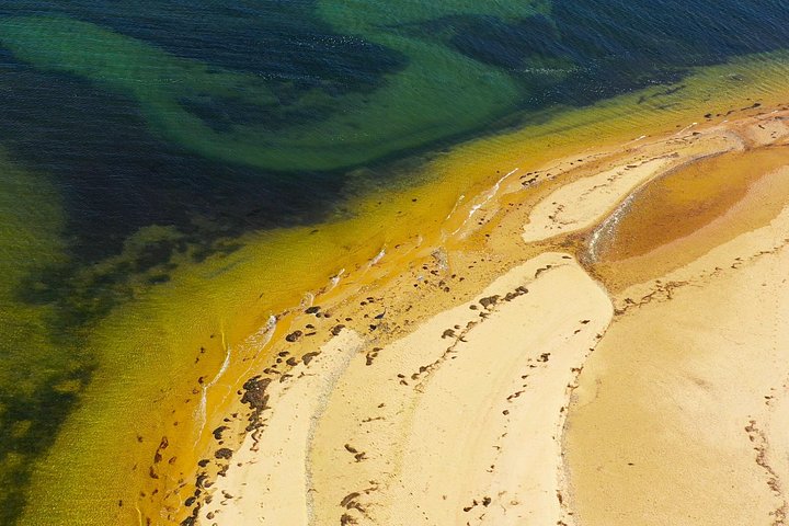 ポルトガル、ファロのリア・フォルモサ自然公園の島々と海を巡るボートツアー、写真12 | wizardtrip
