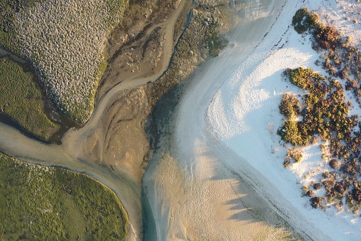 ポルトガル、ファロのリア・フォルモサ自然公園の島々と海を巡るボートツアー、写真15 | wizardtrip
