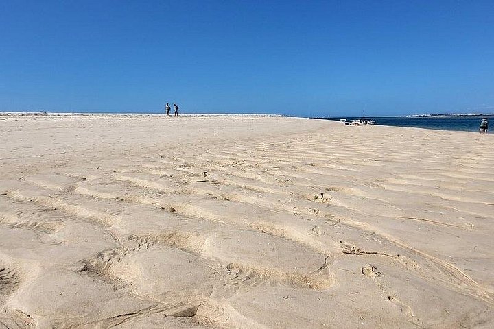 ポルトガル、ファロのリア・フォルモサ自然公園の島々と海を巡るボートツアー、写真18 | wizardtrip