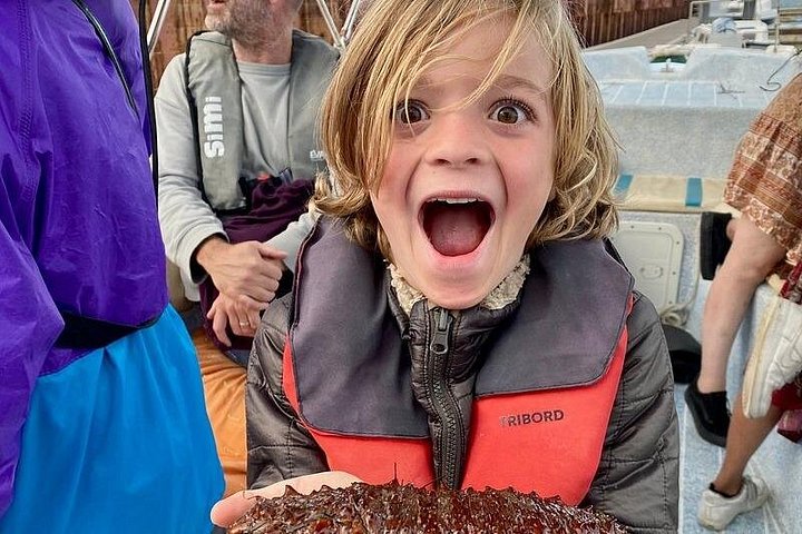ポルトガル、ファロのリア・フォルモサ自然公園の島々と海を巡るボートツアー、写真24 | wizardtrip