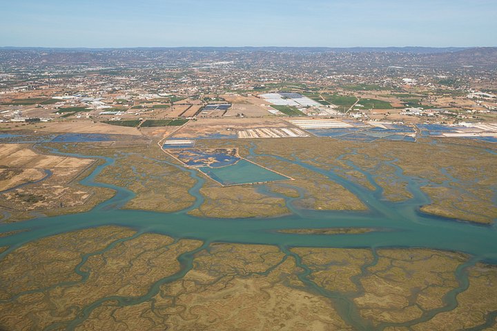 ポルトガル、ファロのリア・フォルモサ自然公園の島々と海を巡るボートツアー、写真28 | wizardtrip