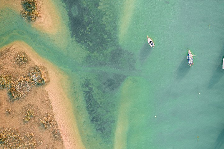 ポルトガル、ファロのリア・フォルモサ自然公園の島々と海を巡るボートツアー、写真31 | wizardtrip