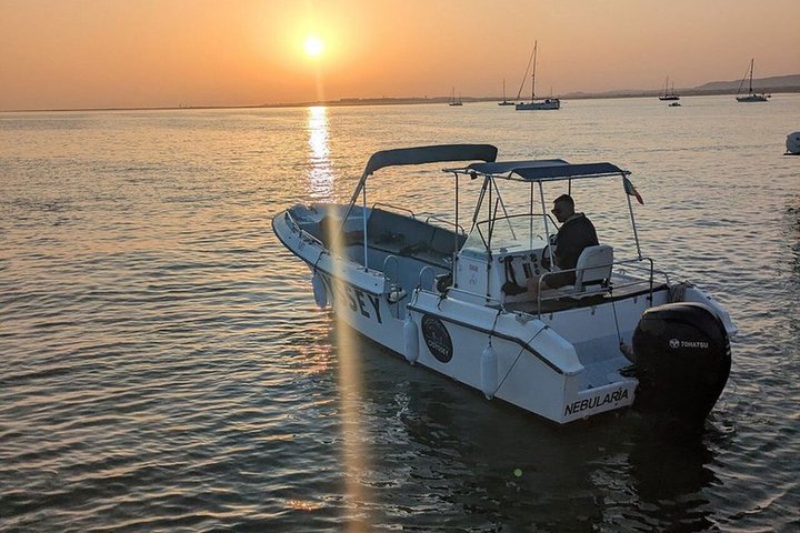 Gita in barca al tramonto nella Ria Formosa, Portogallo, esplorando isole e gustando prelibatezze locali, foto 7 | wizardtrip