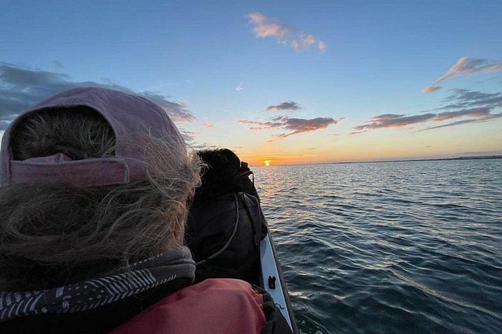 Gita in barca al tramonto nella Ria Formosa, Portogallo, esplorando isole e gustando prelibatezze locali, foto 12 | wizardtrip