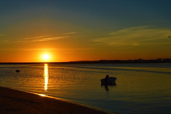 Gita in barca al tramonto nella Ria Formosa, Portogallo, esplorando isole e gustando prelibatezze locali, foto 21 | wizardtrip