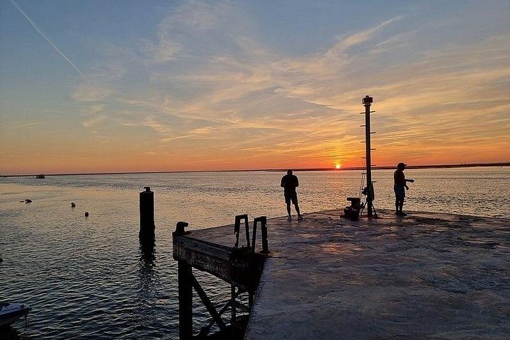 Gita in barca al tramonto nella Ria Formosa, Portogallo, esplorando isole e gustando prelibatezze locali, foto 24 | wizardtrip