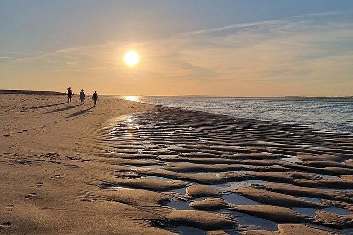 Gita in barca al tramonto nella Ria Formosa, Portogallo, esplorando isole e gustando prelibatezze locali, foto 29 | wizardtrip