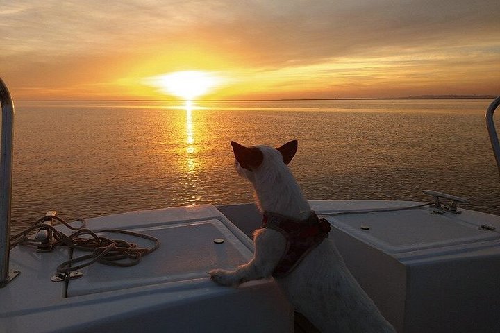 Gita in barca al tramonto nella Ria Formosa, Portogallo, esplorando isole e gustando prelibatezze locali, foto 35 | wizardtrip