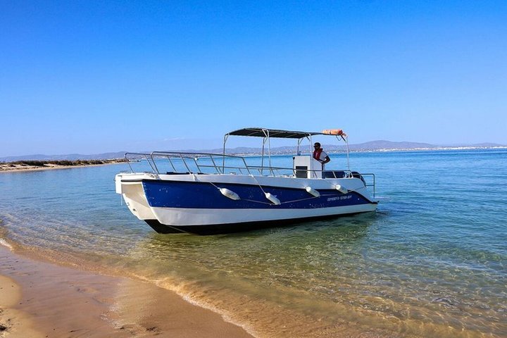 Gita in barca al tramonto nella Ria Formosa, Portogallo, esplorando isole e gustando prelibatezze locali, foto 38 | wizardtrip