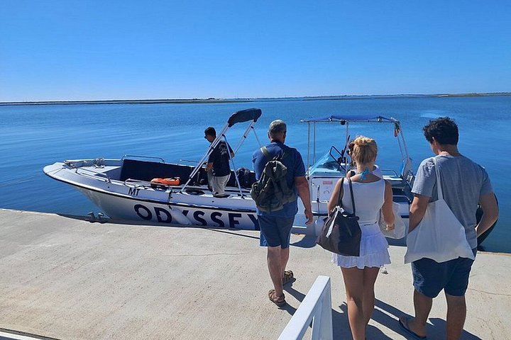 Gita in barca al tramonto nella Ria Formosa, Portogallo, esplorando isole e gustando prelibatezze locali, foto 40 | wizardtrip