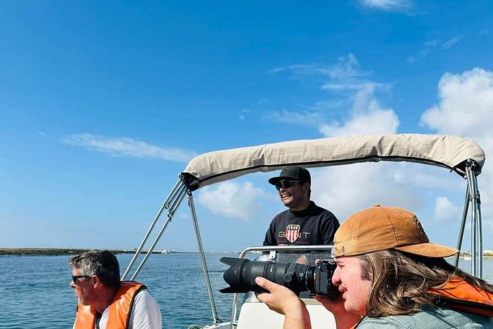 Gita in barca al tramonto nella Ria Formosa, Portogallo, esplorando isole e gustando prelibatezze locali, foto 49 | wizardtrip