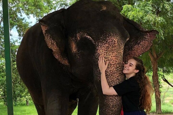 Private Elephant Sanctuary | wizardtrip