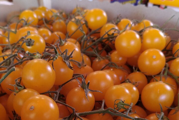 Cours de cuisine sicilienne pratique et visite du marché à Palerme, photo 29 | wizardtrip