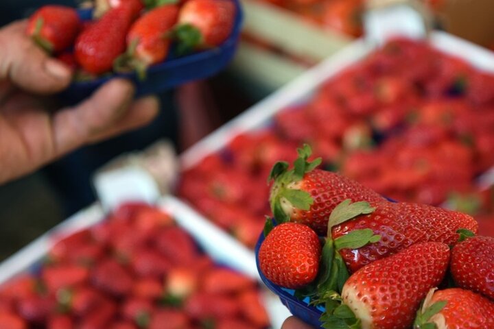 Cours de cuisine sicilienne pratique et visite du marché à Palerme, photo 38 | wizardtrip