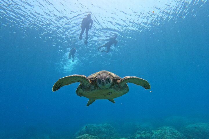Excursion snorkeling aux îles Daymaniyat | wizardtrip