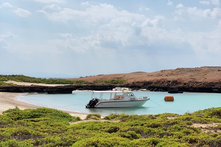 Schnorcheln und Erkunden der Daymaniyat-Inseln bei Maskat, Oman, Foto 12 | wizardtrip