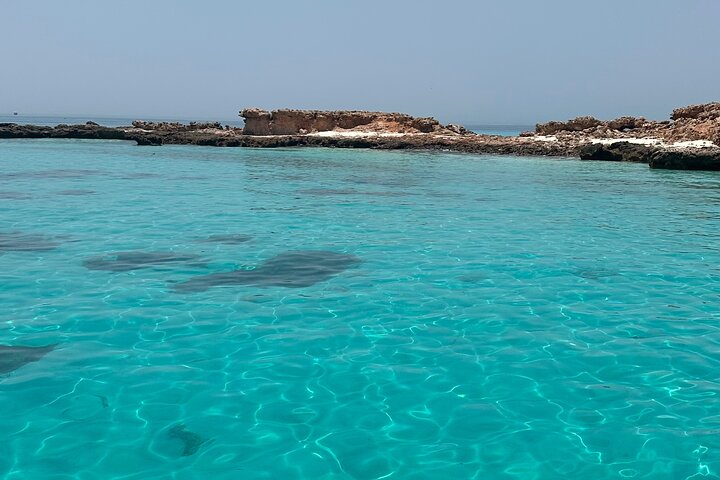 Schnorcheln und Erkunden der Daymaniyat-Inseln bei Maskat, Oman, Foto 22 | wizardtrip