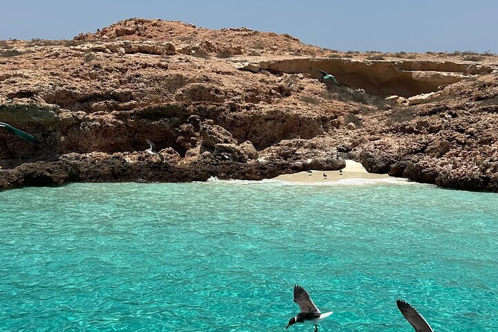 Schnorcheln und Erkunden der Daymaniyat-Inseln bei Maskat, Oman, Foto 23 | wizardtrip