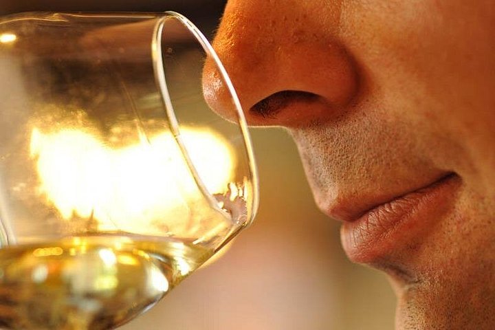 Passeio de vinho de dia inteiro pelas vinhas da Borgonha e Beaune a partir de Dijon, foto 8 | wizardtrip
