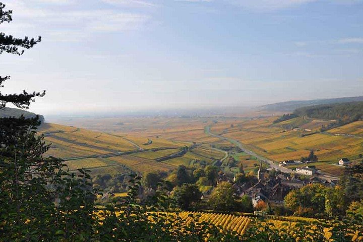 Passeio de vinho de dia inteiro pelas vinhas da Borgonha e Beaune a partir de Dijon, foto 9 | wizardtrip