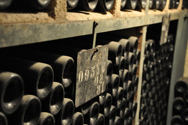 Passeio de vinho de dia inteiro pelas vinhas da Borgonha e Beaune a partir de Dijon, foto 10 | wizardtrip