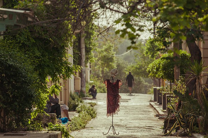 Tour in kleine groep die het oude en moderne Athene verkent, inclusief de Akropolis en Plaka, foto 17 | wizardtrip