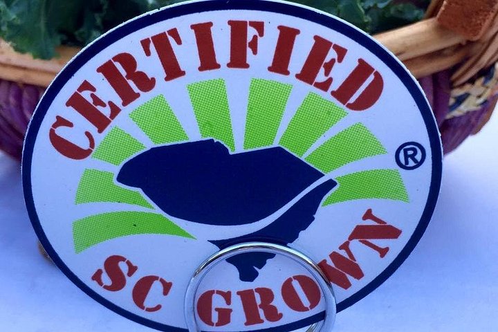 Tour gastronomico e storico di Charleston con corso di cucina guidato da uno chef e degustazione di vini, foto 23 | wizardtrip