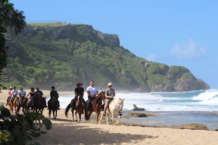 Avventura a cavallo su spiagge isolate e attraverso foreste tropicali a Porto Rico, foto 6 | wizardtrip