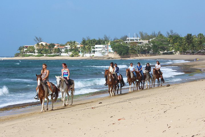 Avventura a cavallo su spiagge isolate e attraverso foreste tropicali a Porto Rico, foto 7 | wizardtrip