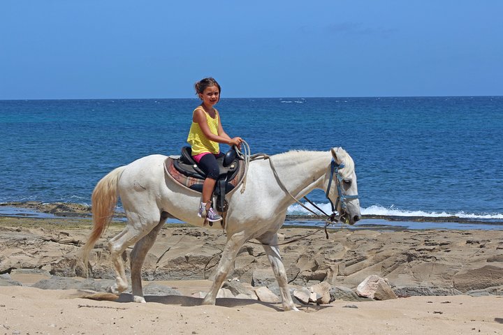 Avventura a cavallo su spiagge isolate e attraverso foreste tropicali a Porto Rico, foto 8 | wizardtrip