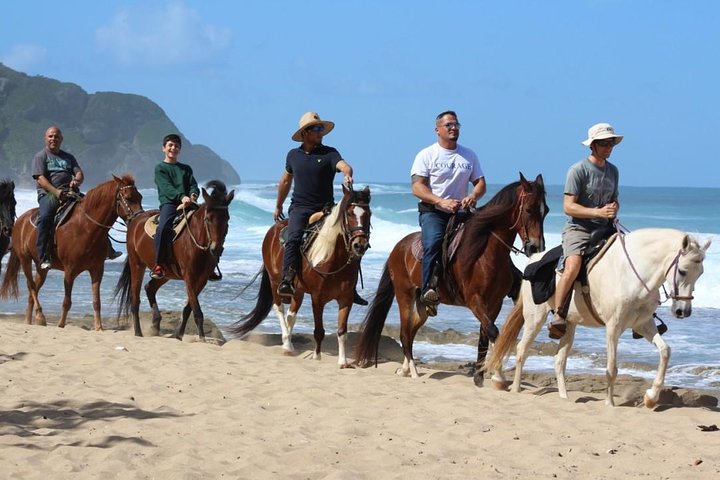 Avventura a cavallo su spiagge isolate e attraverso foreste tropicali a Porto Rico, foto 9 | wizardtrip
