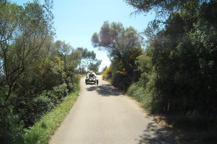 Scopri i bellissimi paesaggi di Maiorca in un emozionante tour avventura in buggy, foto 12 | wizardtrip