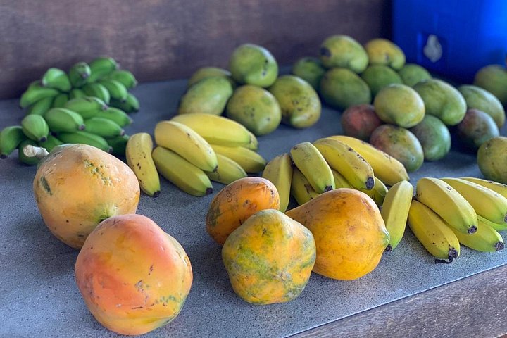 Moorea street food tour med lokal guide, provsmakar lokala delikatesser och besöker natursköna platser, foto 16 | wizardtrip