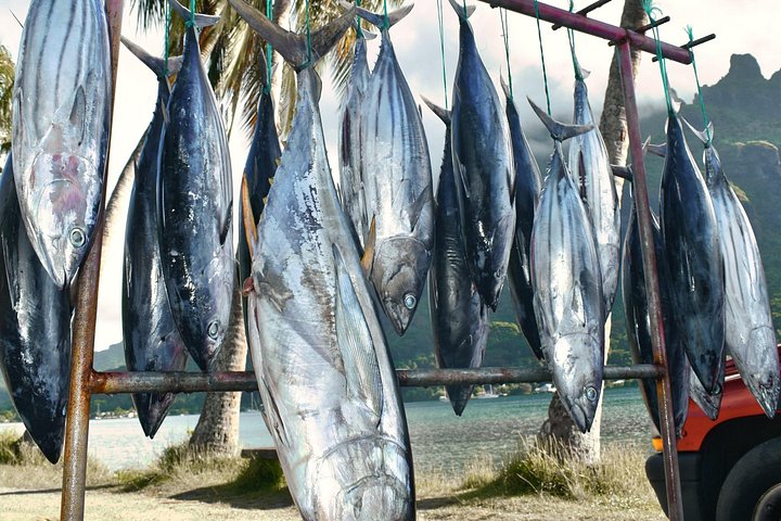 Moorea street food tour med lokal guide, provsmakar lokala delikatesser och besöker natursköna platser, foto 19 | wizardtrip