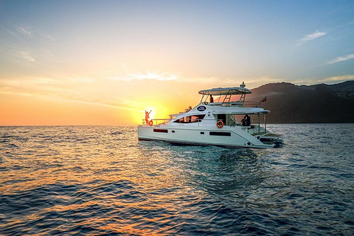 Observation de Baleines de Luxe VipDolphins | wizardtrip