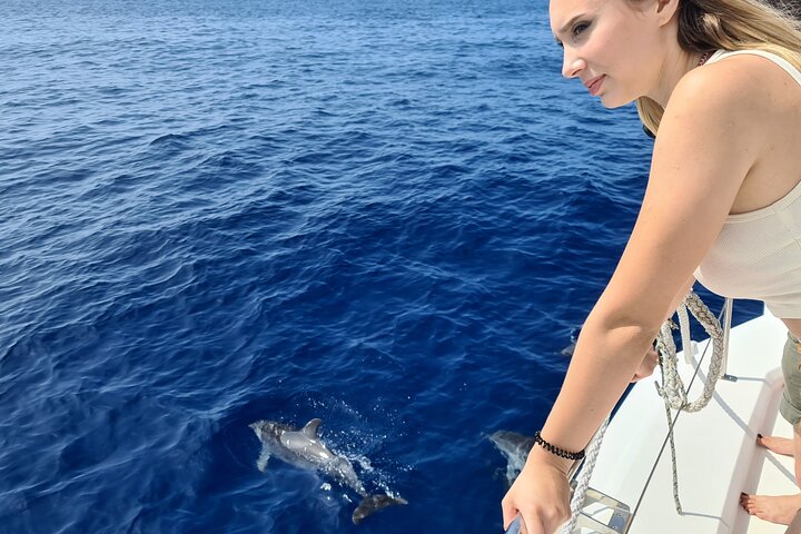 Excursion en bateau de luxe pour observer les baleines au départ de Funchal, Madère, à la recherche de dauphins et de baleines, photo 14 | wizardtrip