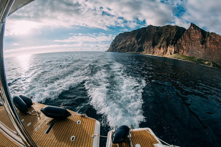 Excursion en bateau de luxe pour observer les baleines au départ de Funchal, Madère, à la recherche de dauphins et de baleines, photo 18 | wizardtrip