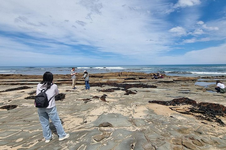 Tur i liten grupp längs den natursköna Great Ocean Road i Victoria, Australien, foto 9 | wizardtrip