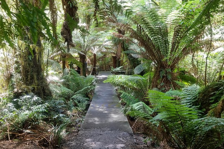 Tur i liten grupp längs den natursköna Great Ocean Road i Victoria, Australien, foto 10 | wizardtrip