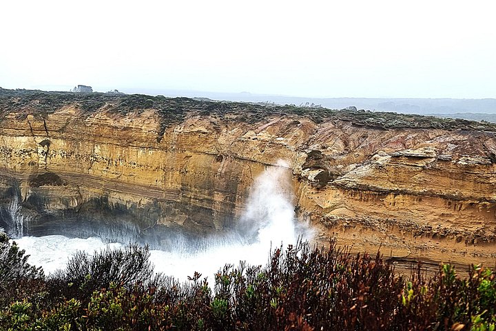 Tur i liten grupp längs den natursköna Great Ocean Road i Victoria, Australien, foto 17 | wizardtrip