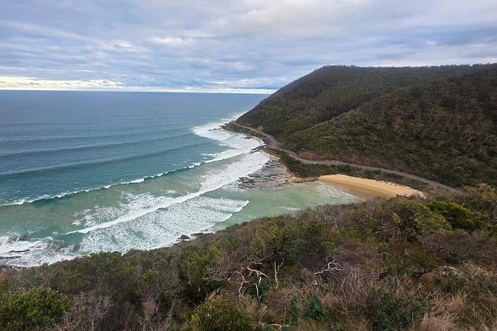 Tur i liten grupp längs den natursköna Great Ocean Road i Victoria, Australien, foto 23 | wizardtrip