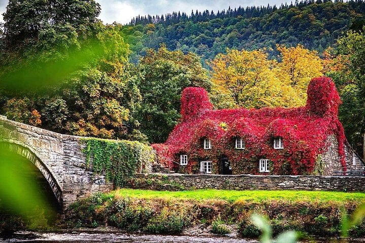 Een schilderachtige dagtocht door Wales met het dorp Portmeirion, historische kastelen en de bergen van Snowdonia, foto 7 | wizardtrip