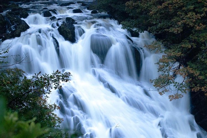 Een schilderachtige dagtocht door Wales met het dorp Portmeirion, historische kastelen en de bergen van Snowdonia, foto 18 | wizardtrip
