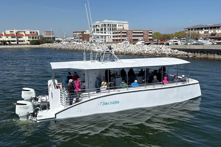 Delfinobservationstur på Pensacola Bay med naturskøn udsigt over kysten, foto 7 | wizardtrip