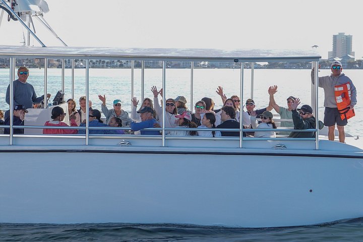 Delfinobservationstur på Pensacola Bay med naturskøn udsigt over kysten, foto 9 | wizardtrip