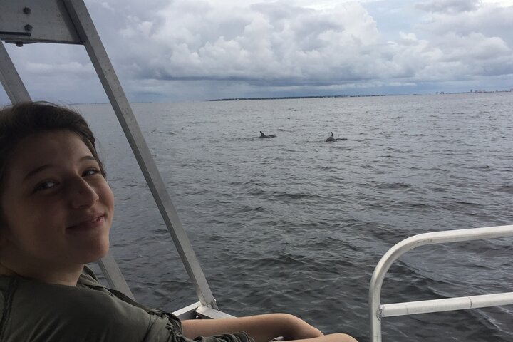 Delfinobservationstur på Pensacola Bay med naturskøn udsigt over kysten, foto 12 | wizardtrip