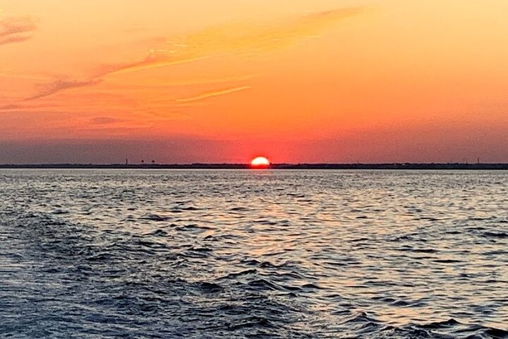 Delfinobservationstur på Pensacola Bay med naturskøn udsigt over kysten, foto 13 | wizardtrip