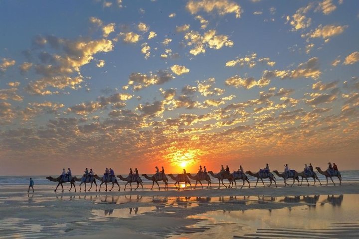 1 Hour Broome Sunset Camel Tour | wizardtrip