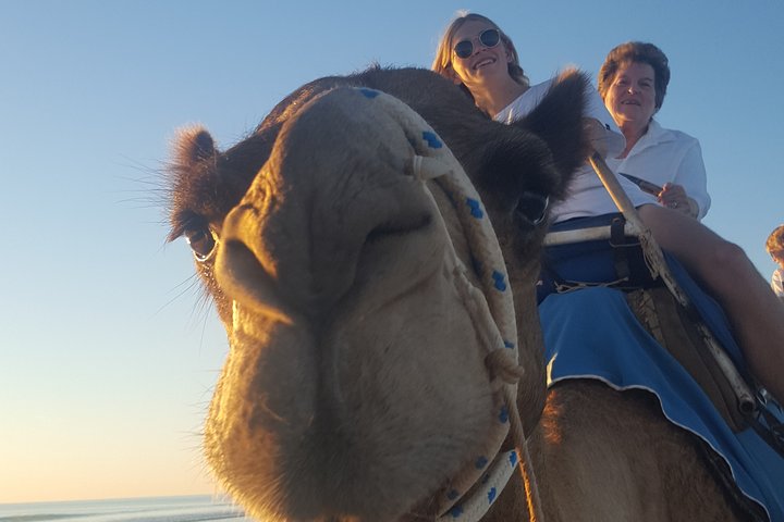 Nyd en betagende solnedgangs kameltur langs Broome's Cable Beach, Western Australia, foto 8 | wizardtrip