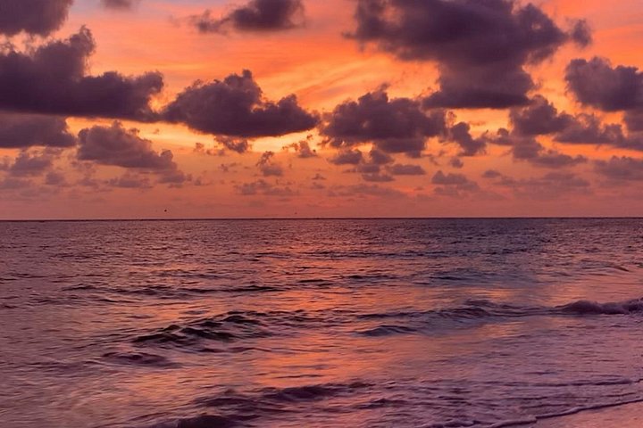 サラソタ、シエスタ・キー・ビーチの夕日と電動自転車、写真8 | wizardtrip